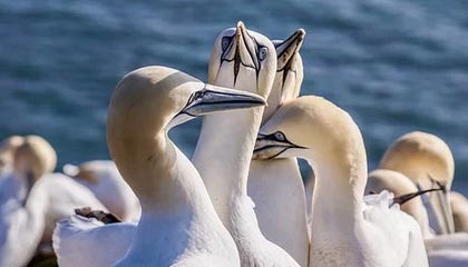 传奇手游里战士PK要利用血量优势